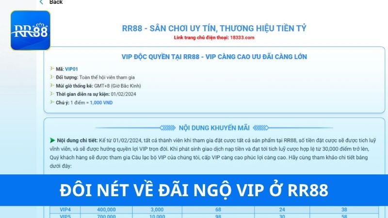 Đôi nét về đãi ngộ VIP RR88