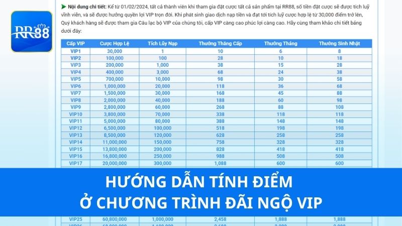 Hướng dẫn tính điểm ở chương trình đãi ngộ VIP RR88