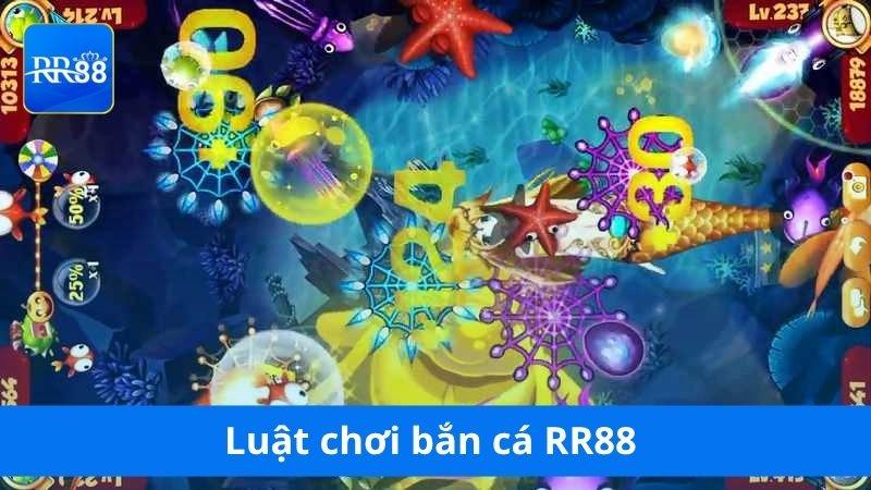 Luật chơi bắn cá RR88 dành cho cả người mới