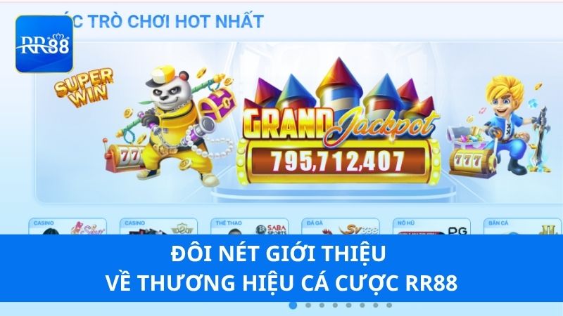 Đôi nét giới thiệu về thương hiệu cá cược RR88